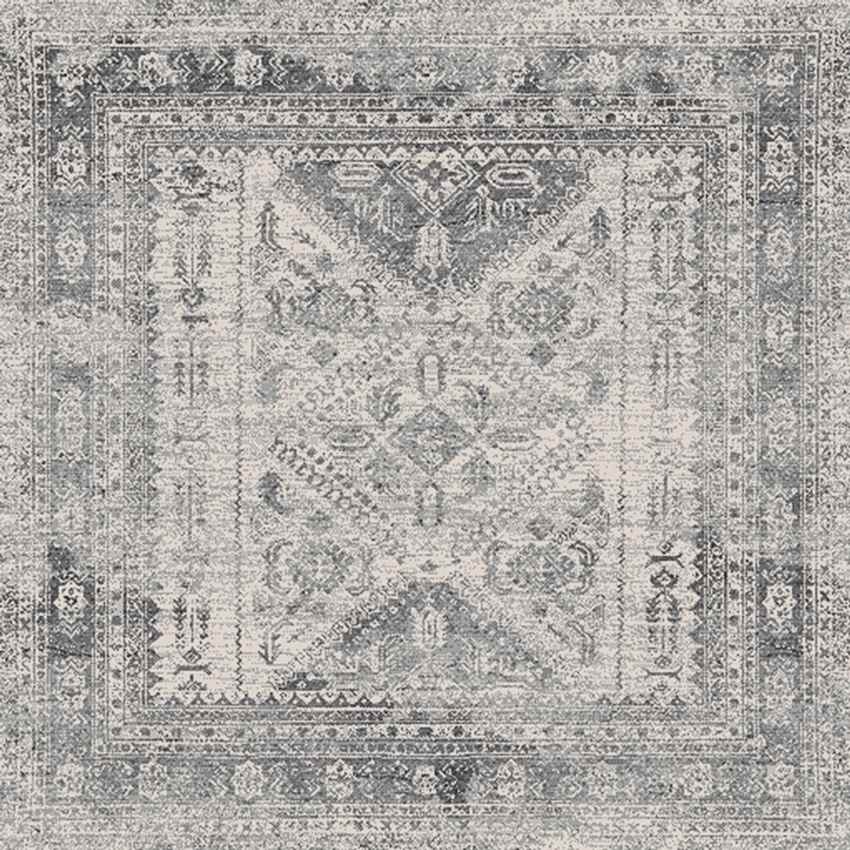Jules Traditional Light Gray/White/Charcoal Area Rug