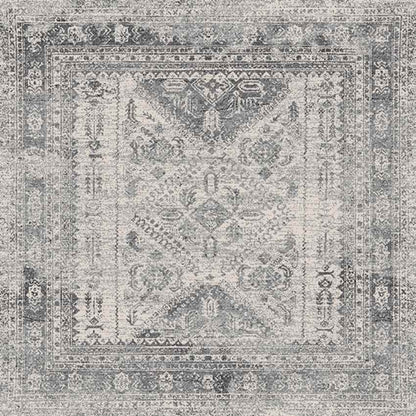 Jules Traditional Light Gray/White/Charcoal Area Rug