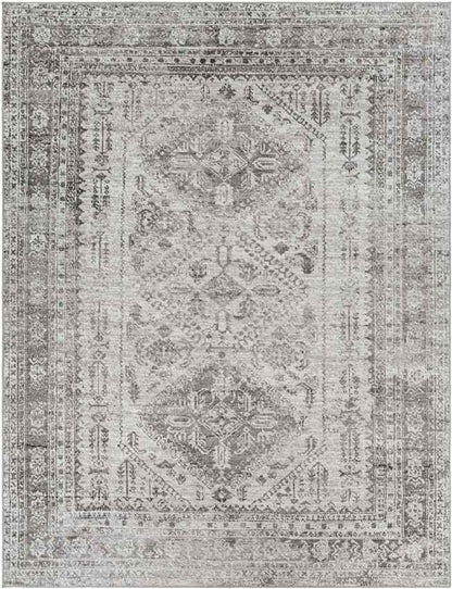 Jules Traditional Light Gray/White/Charcoal Area Rug