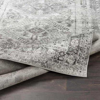 Jules Traditional Light Gray/White/Charcoal Area Rug