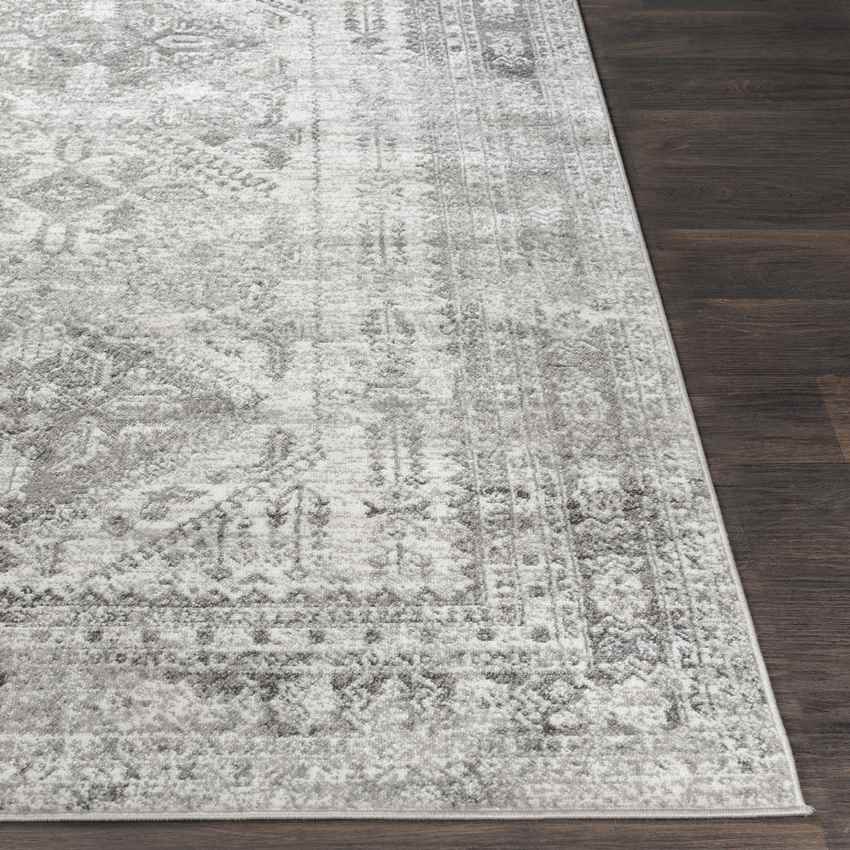 Jules Traditional Light Gray/White/Charcoal Area Rug