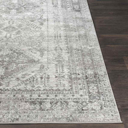 Jules Traditional Light Gray/White/Charcoal Area Rug