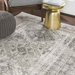 Jules Traditional Light Gray/White/Charcoal Area Rug