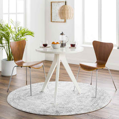 Jules Traditional Light Gray/White/Charcoal Area Rug