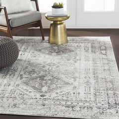 Jules Traditional Light Gray/White/Charcoal Area Rug