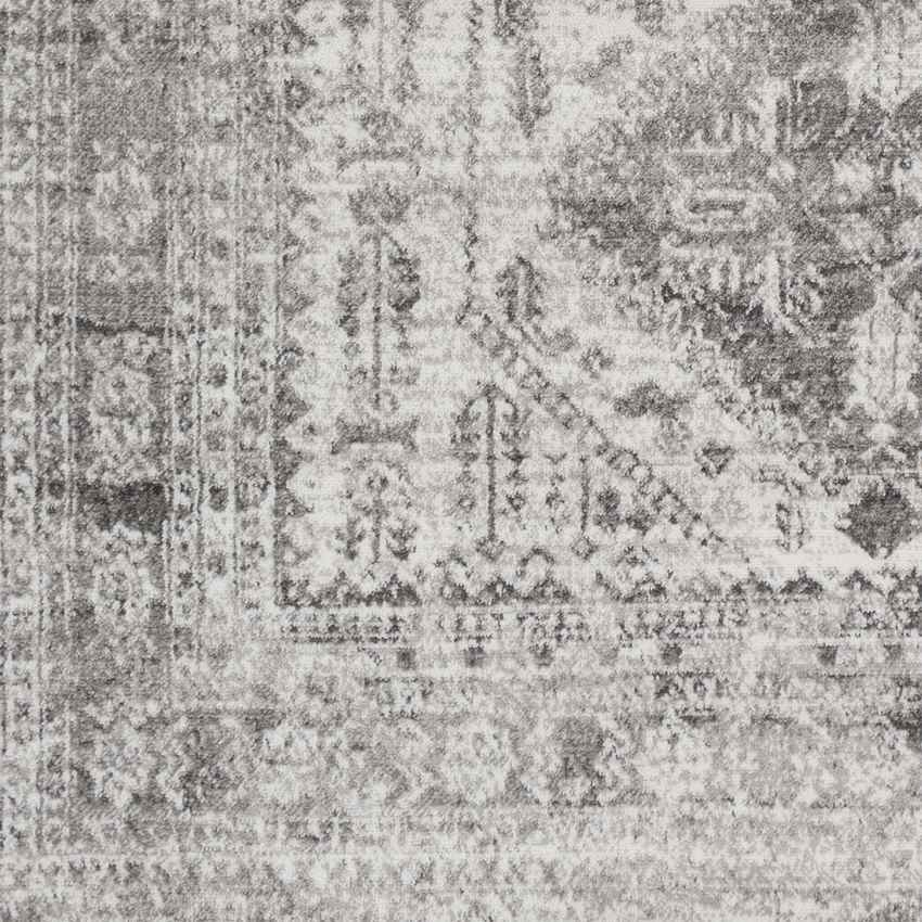 Jules Traditional Light Gray/White/Charcoal Area Rug