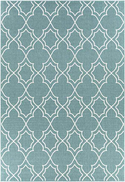 Liam Cottage Teal Area Rug