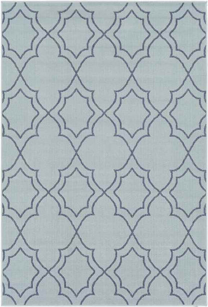 Liam Cottage Aqua Area Rug