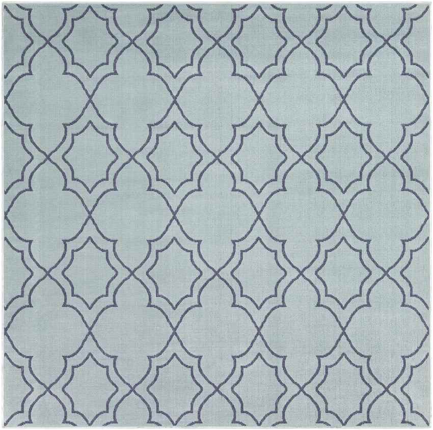 Liam Cottage Aqua Area Rug