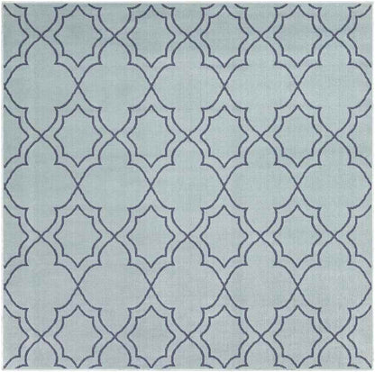 Liam Cottage Aqua Area Rug