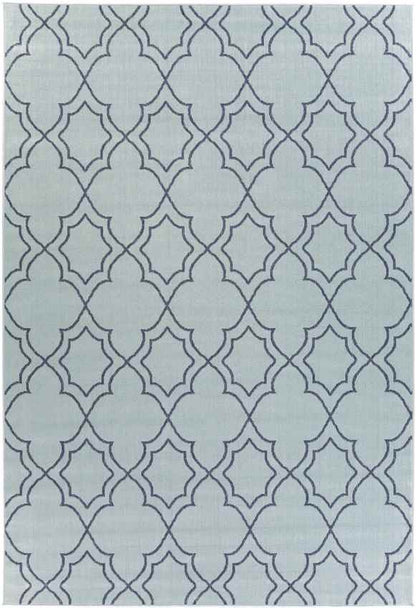 Liam Cottage Aqua Area Rug