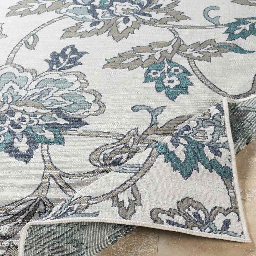 Selma Cottage Aqua Area Rug