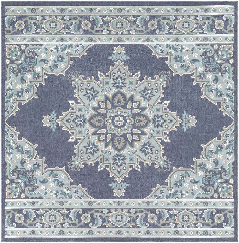 Lyla Traditional Charcoal Area Rug