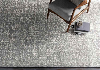 Leo Traditional Charcoal/Ivory Area Rug