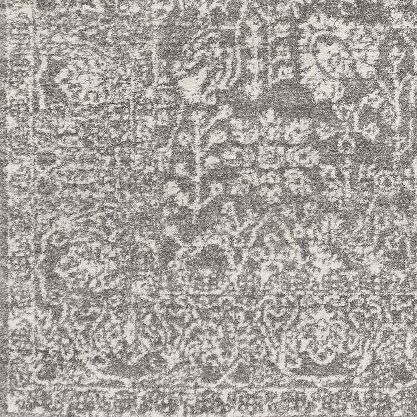 Leo Traditional Charcoal/Ivory Area Rug