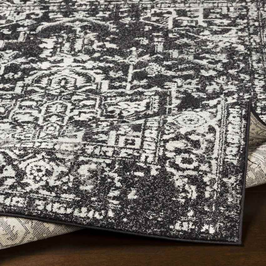 Amelia Traditional Black Area Rug