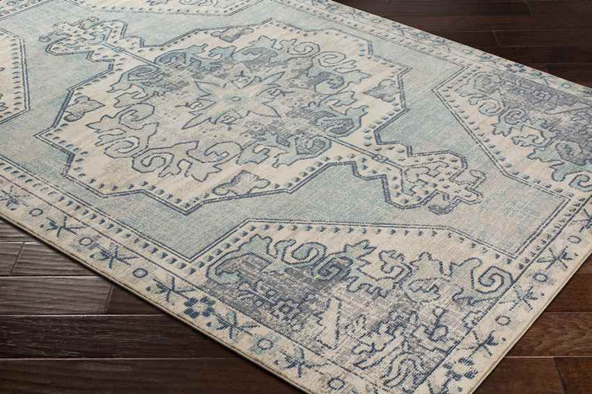 Henry Traditional Teal Area Rug