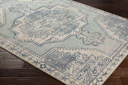Henry Traditional Teal Area Rug