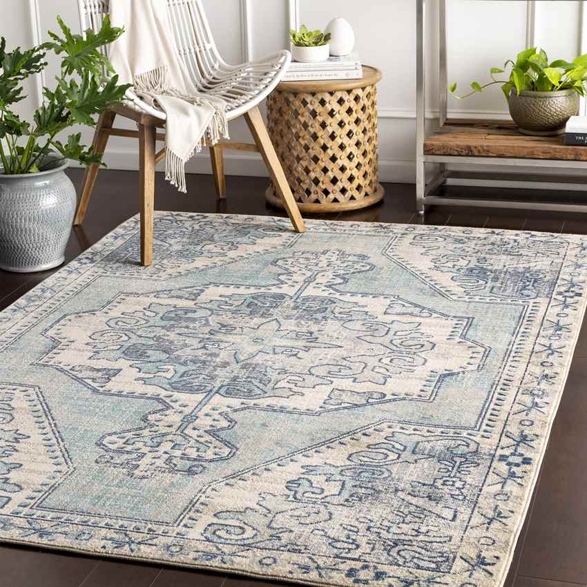 Henry Traditional Teal Area Rug
