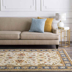 Paris Traditional Tan Area Rug