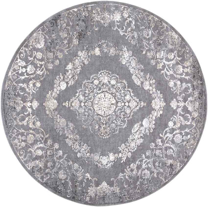 Nantes Traditional Gray Area Rug