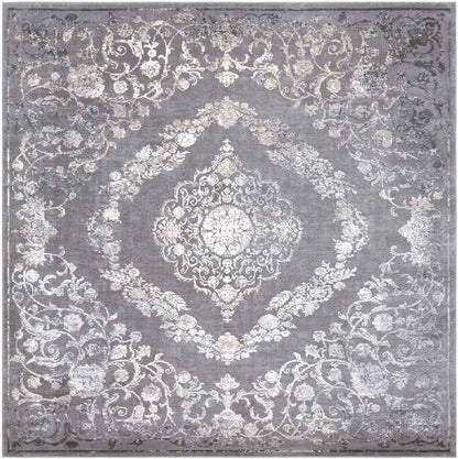 Nantes Traditional Gray Area Rug