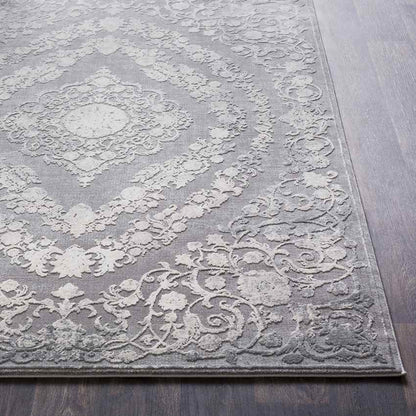 Nantes Traditional Gray Area Rug