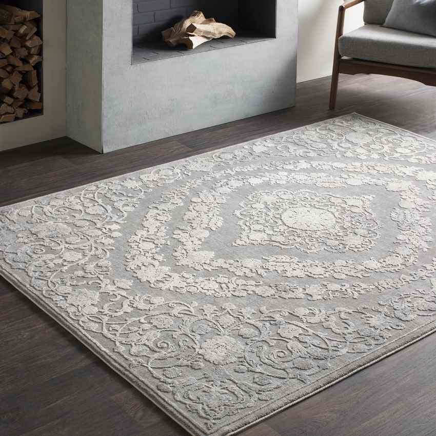 Nantes Traditional Gray Area Rug