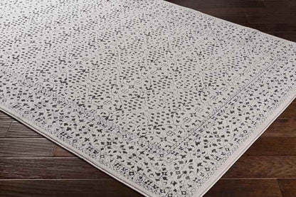 Caen Traditional Gray/Charcoal Area Rug