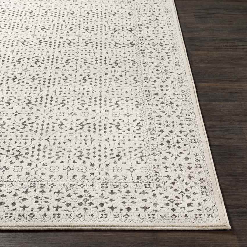 Caen Traditional Gray/Charcoal Area Rug