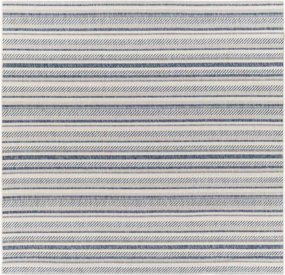 Pau Global Denim Area Rug