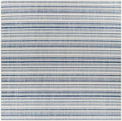 Pau Global Denim Area Rug