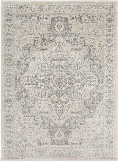 Troyes Traditional Medium Gray Area Rug