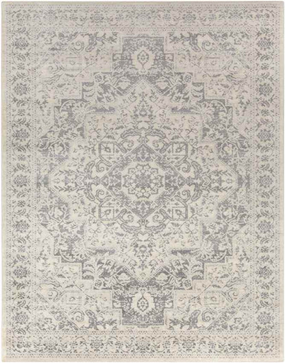 Troyes Traditional Medium Gray Area Rug