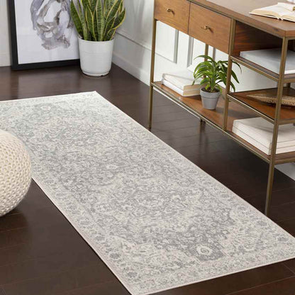 Troyes Traditional Medium Gray Area Rug