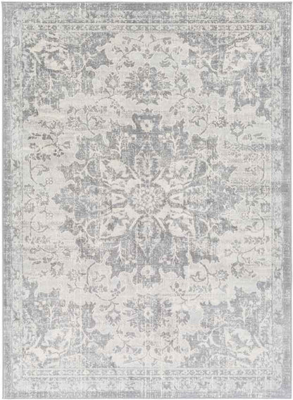 Clichy Traditional Medium Gray Area Rug