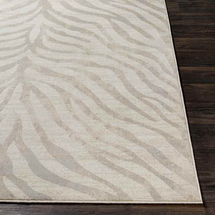 Chambery Modern Light Gray Area Rug