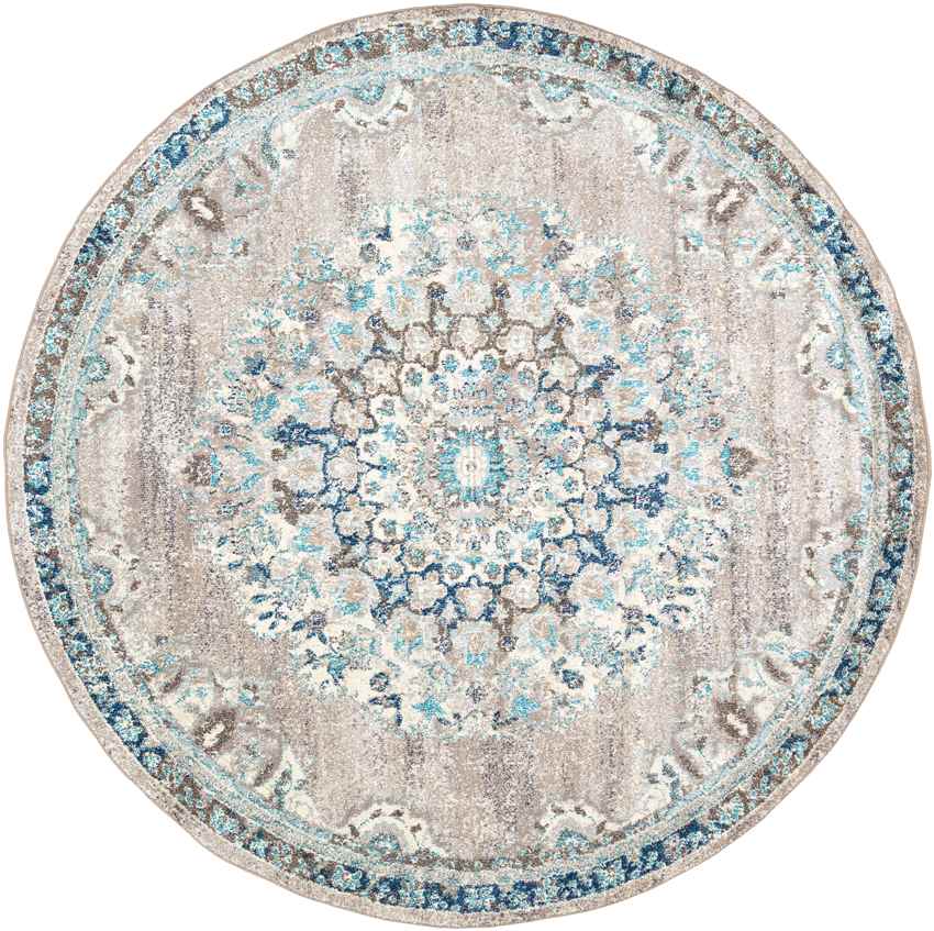 Puteaux Traditional Light Gray Area Rug