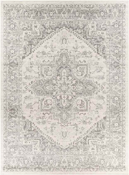 Chartres Traditional Light Gray Area Rug