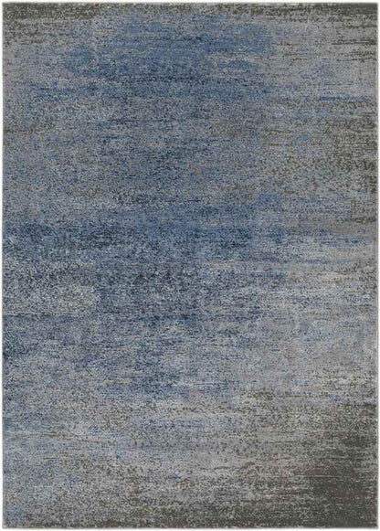 Nevers Modern Denim Area Rug