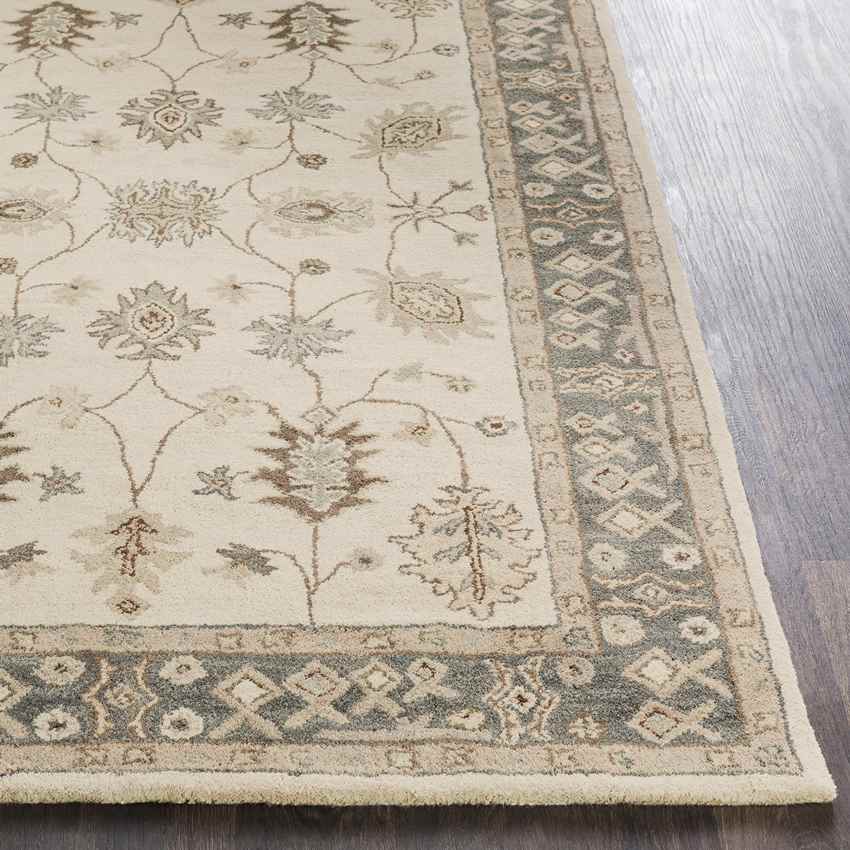 Trappes Traditional Khaki Area Rug