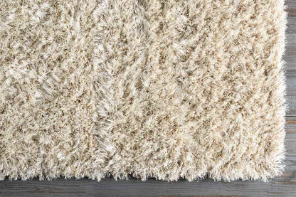 Etampes Modern Beige Area Rug