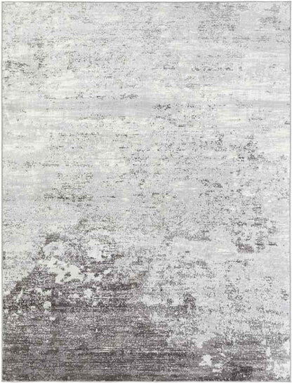 Le Robert Modern Silver Gray Area Rug