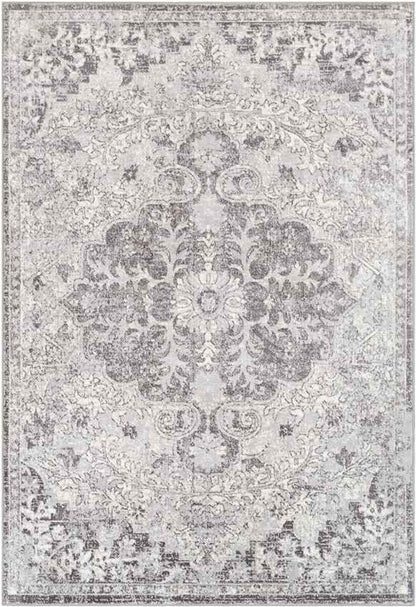 Cenon Traditional Gray/White/Charcoal Area Rug