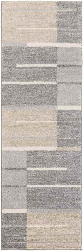 Loos Modern Medium Gray Area Rug