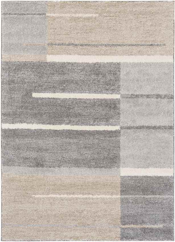 Loos Modern Medium Gray Area Rug