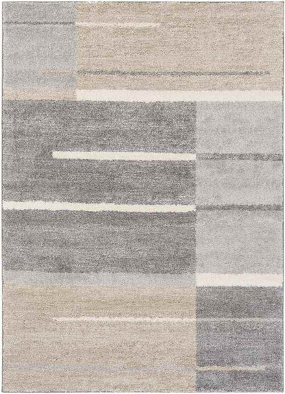 Loos Modern Medium Gray Area Rug