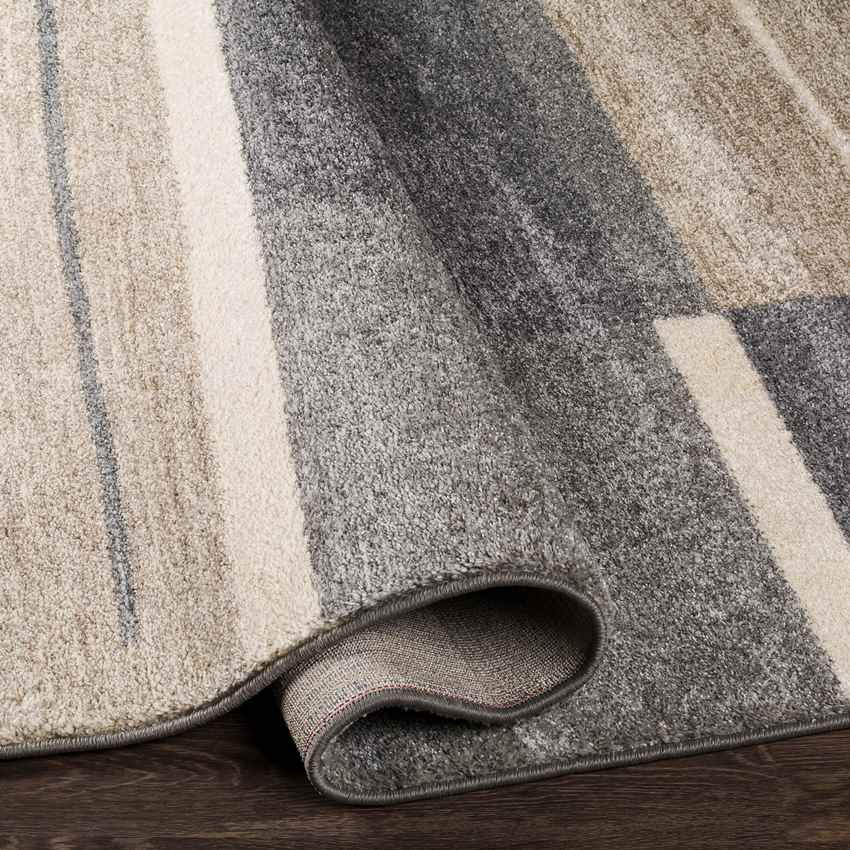 Loos Modern Medium Gray Area Rug
