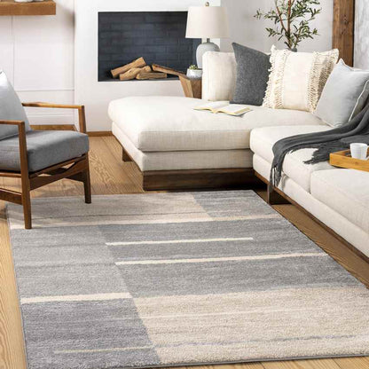 Loos Modern Medium Gray Area Rug
