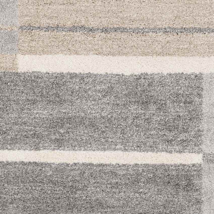 Loos Modern Medium Gray Area Rug